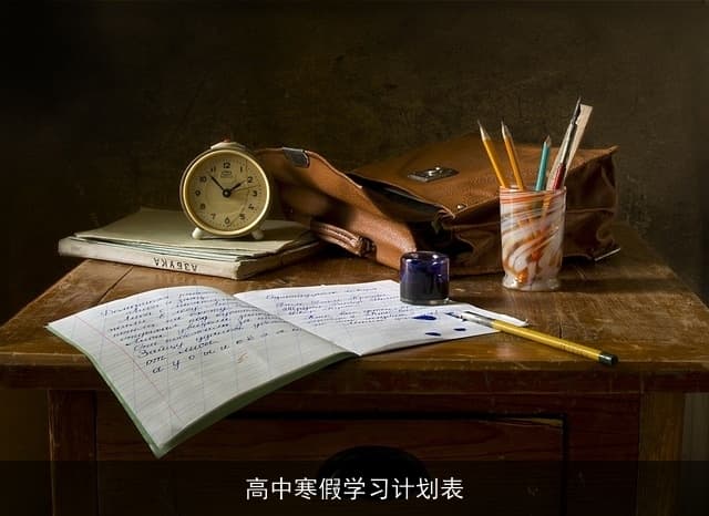 高中生寒假学习计划表