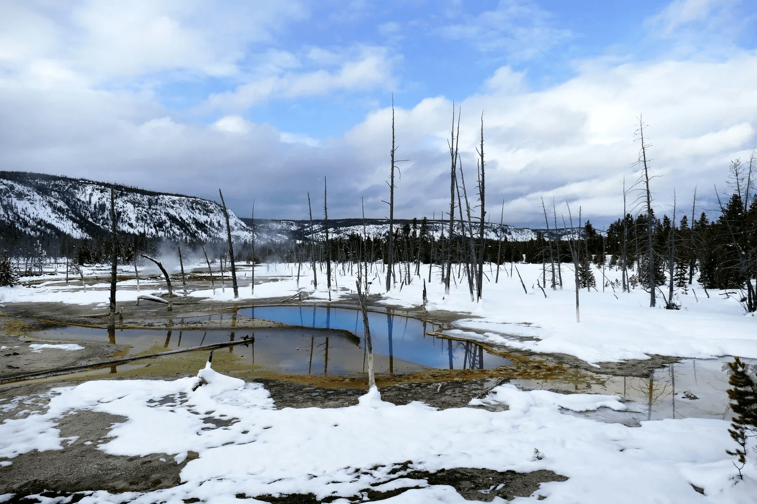 2024年黄石公园自驾游全攻略：火山奇观之旅