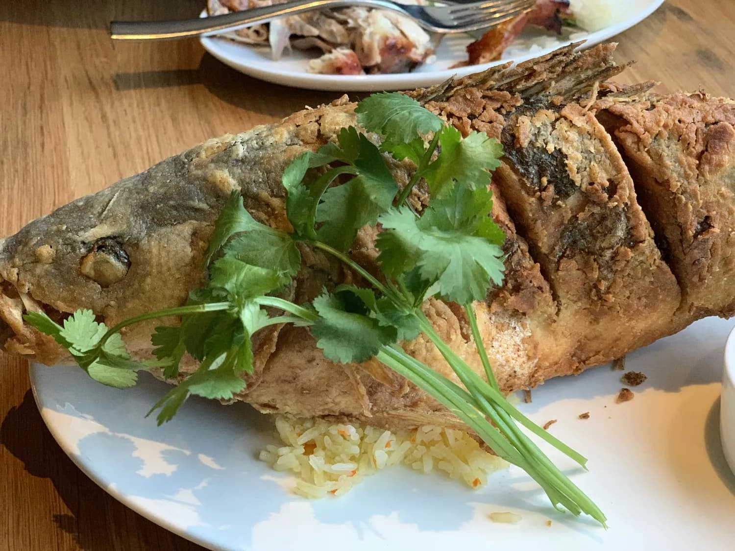 中科院西双版纳热带植物园：美食背后的生态保护