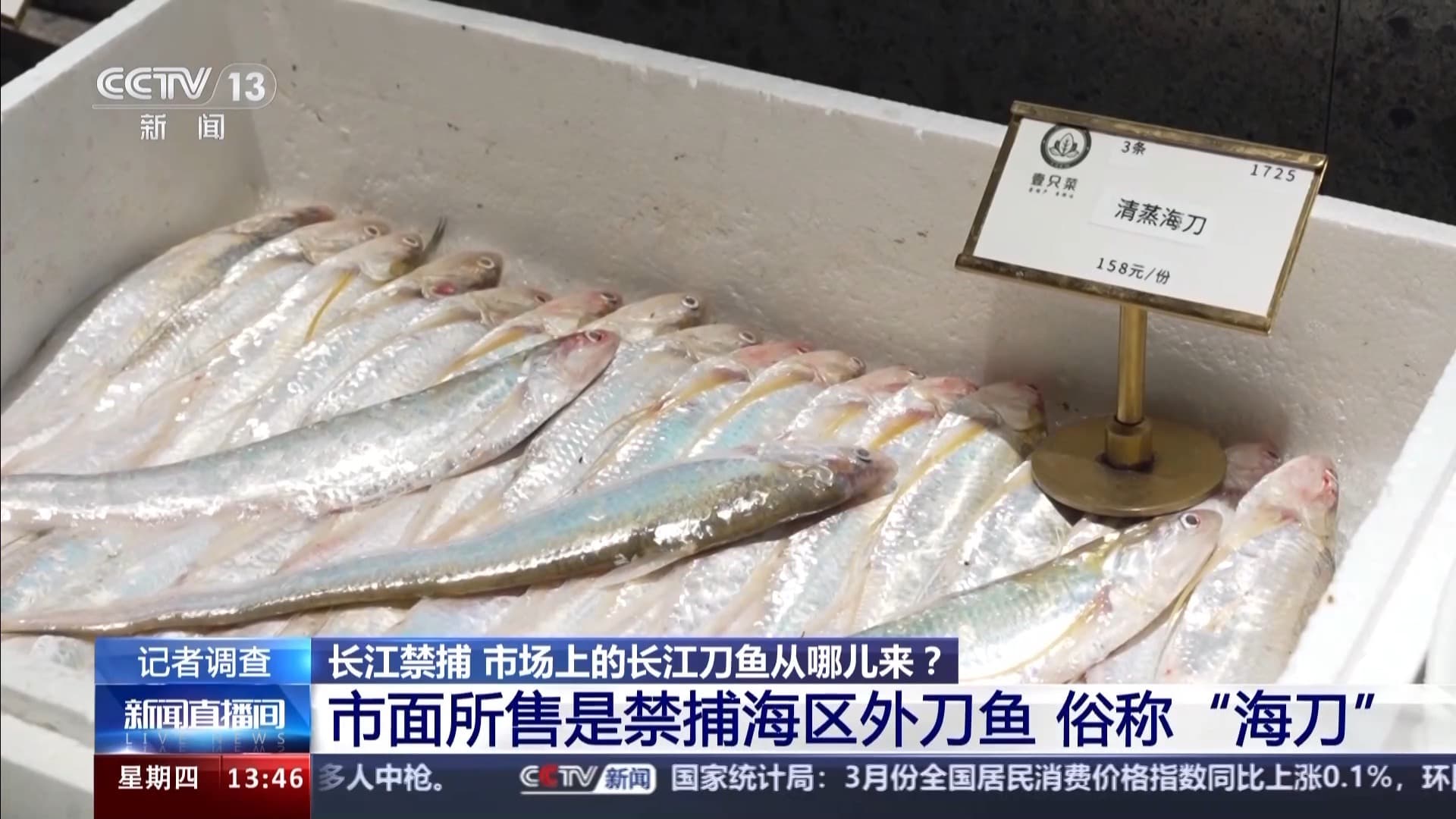 长江禁捕之后，餐桌上的刀鱼从哪儿来？