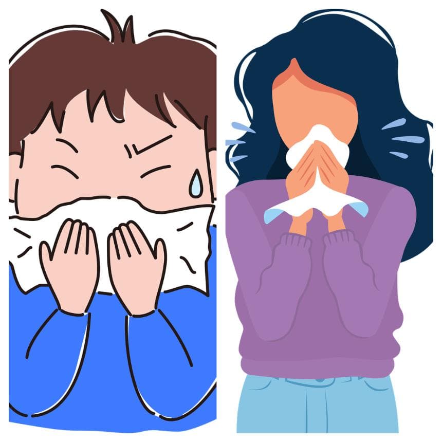 过敏性鼻炎：诊断、治疗与预防的全面指南