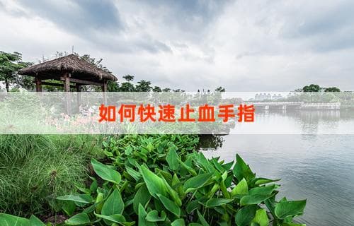 如何快速止血手指 实用方法与技巧