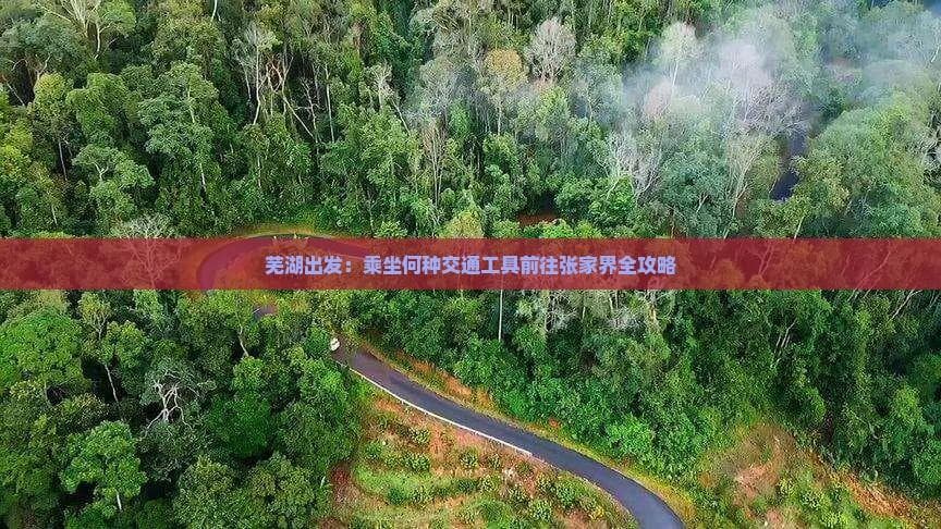 芜湖出发：乘坐何种交通工具前往张家界全攻略