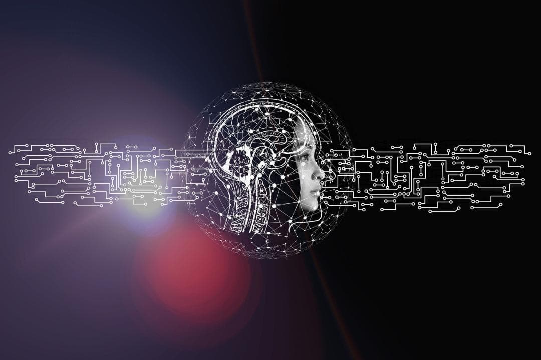 为虚拟神经科学开辟新领域，斯坦福AI新算法模拟大脑如何理解视觉世界