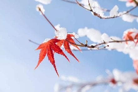 农历生日和阳历生日差多少天