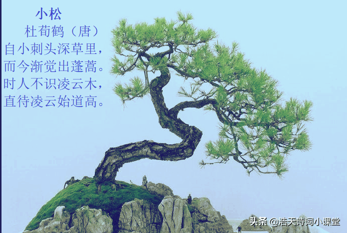 10首松比较出名的诗，最后一首诗是好诗，但与诗人的人品不符