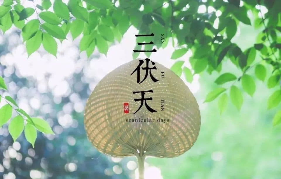 伏天饮酒，有何讲究？