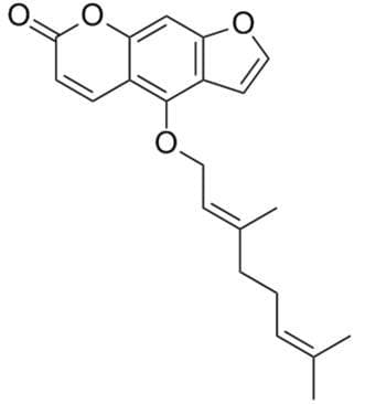 佛手柑素在糖尿病防治中的应用研究