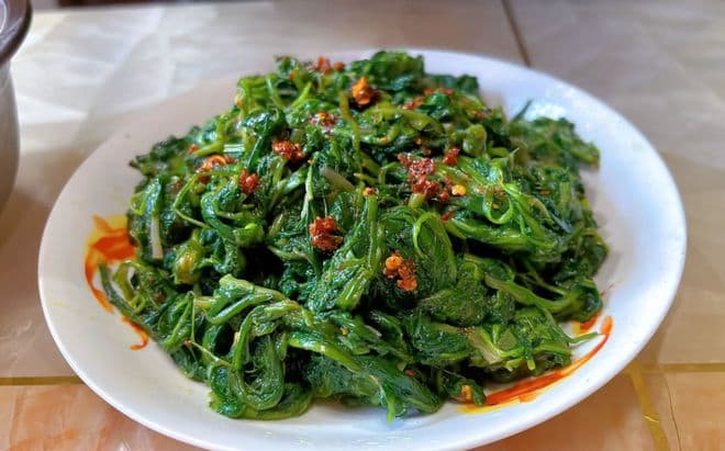 田间不起眼的 “黄金菜”，从凉拌到茶饮，堪称养生 “神药箱”，春天不吃亏大了！