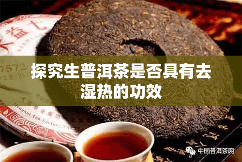 探究生普洱茶是否具有去湿热的功效