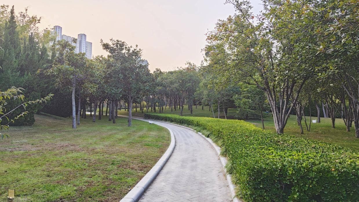 如何理解“道可道，非常道；名可名，非常名”？