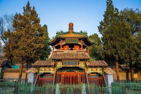 记住！从来没有什么专门的“回语”
