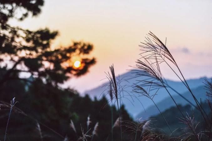 《滕王阁序》经典10句，读懂笑对人生
