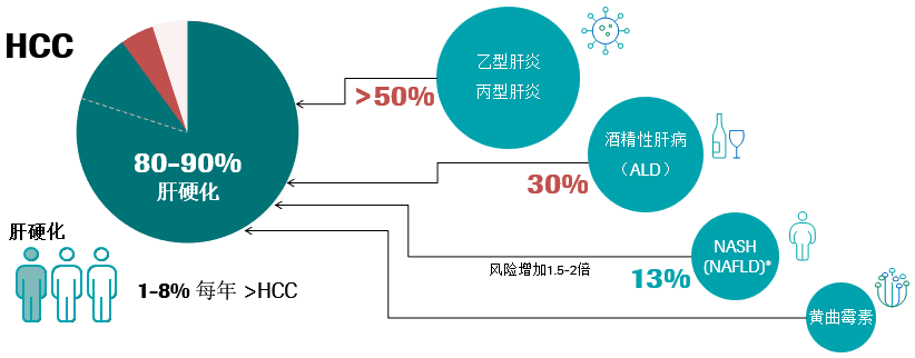 血清标志物助力肝细胞癌的管理