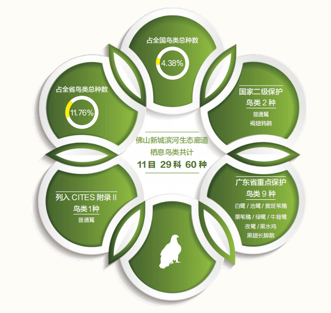 原来，佛山新城藏着一个“小鸟天堂”！