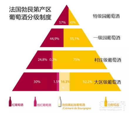 勃艮第酒迷的初级指南