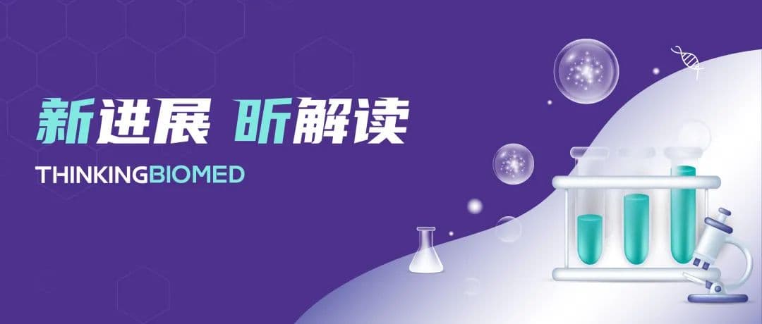 从造血干细胞和祖细胞中生成CAR-NKT细胞的新方法