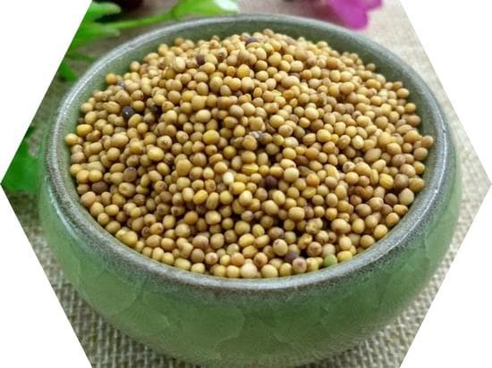 【药食同源】温肺豁痰利气、散结通络止痛之“黄芥子”