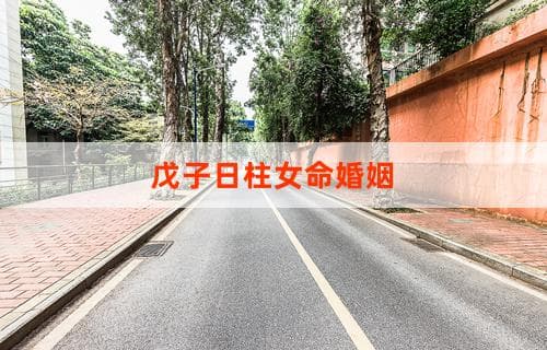 戊子日柱女命的婚姻运势分析