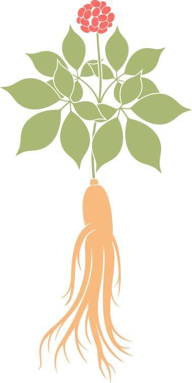 脾胃失调导致肥胖？中医帮你辨清证型，做好调理