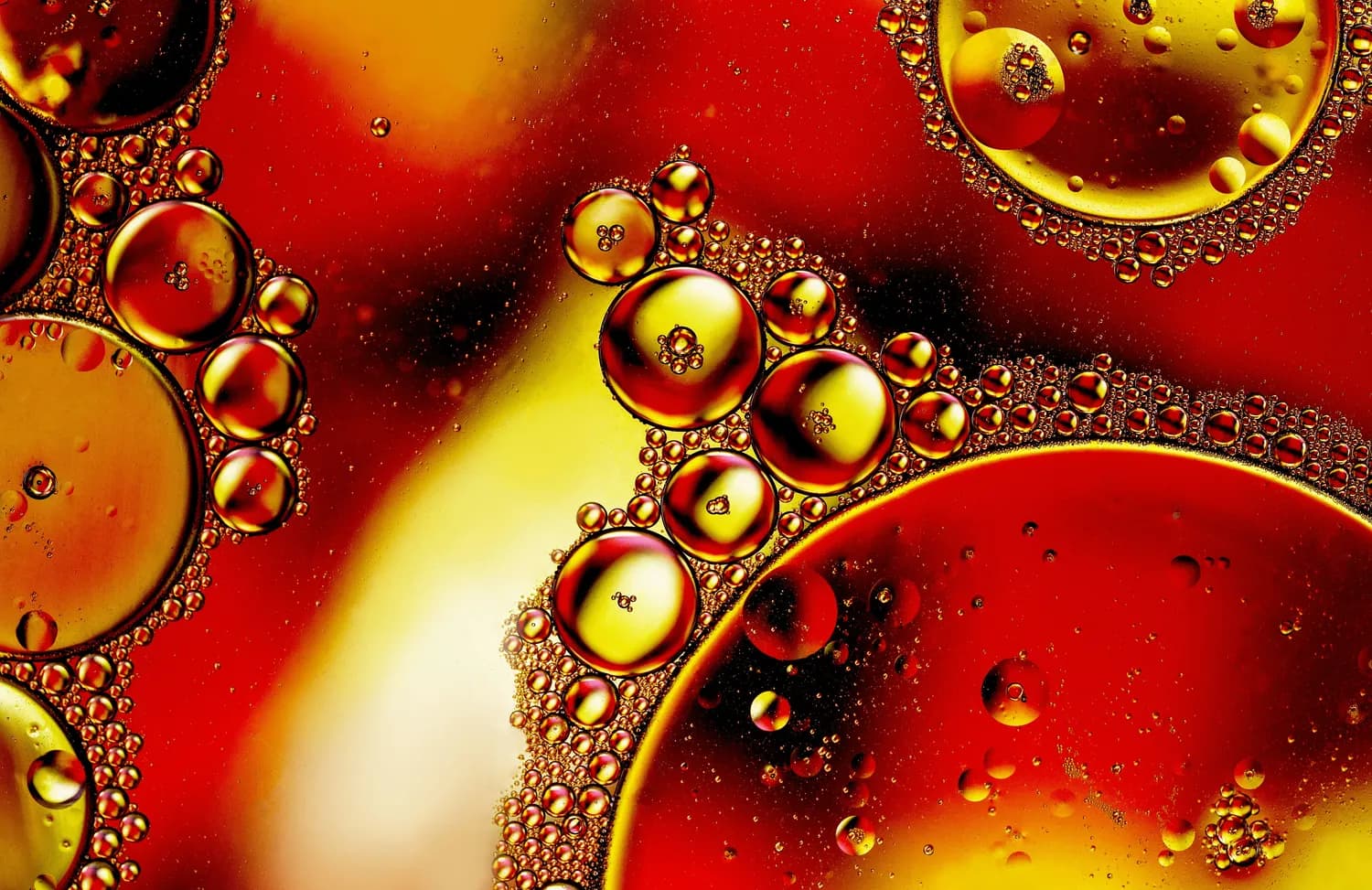 黄金搭配法：如何科学吃油？