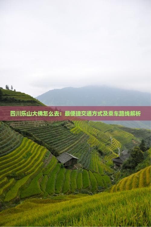 四川乐山大佛怎么去：最便捷交通方式及乘车路线解析