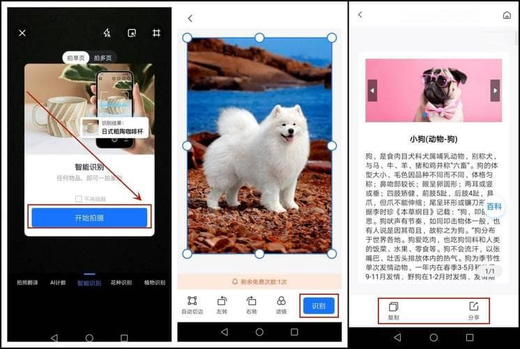 图片识别物品,图片识别神器：快速识别物品新技巧