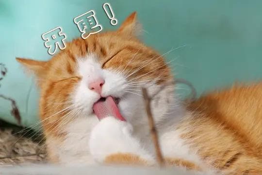 2024适合2K显示器4500-6000价位的高性价比游戏电脑DIY配置单