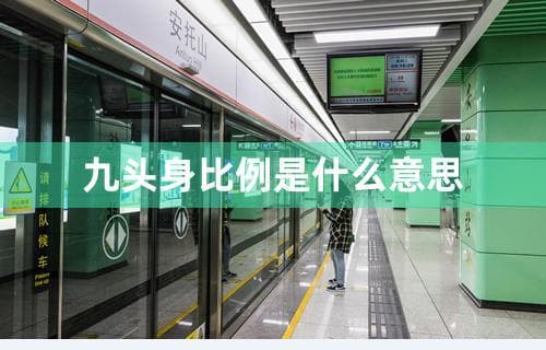 九头身比例是什么意思