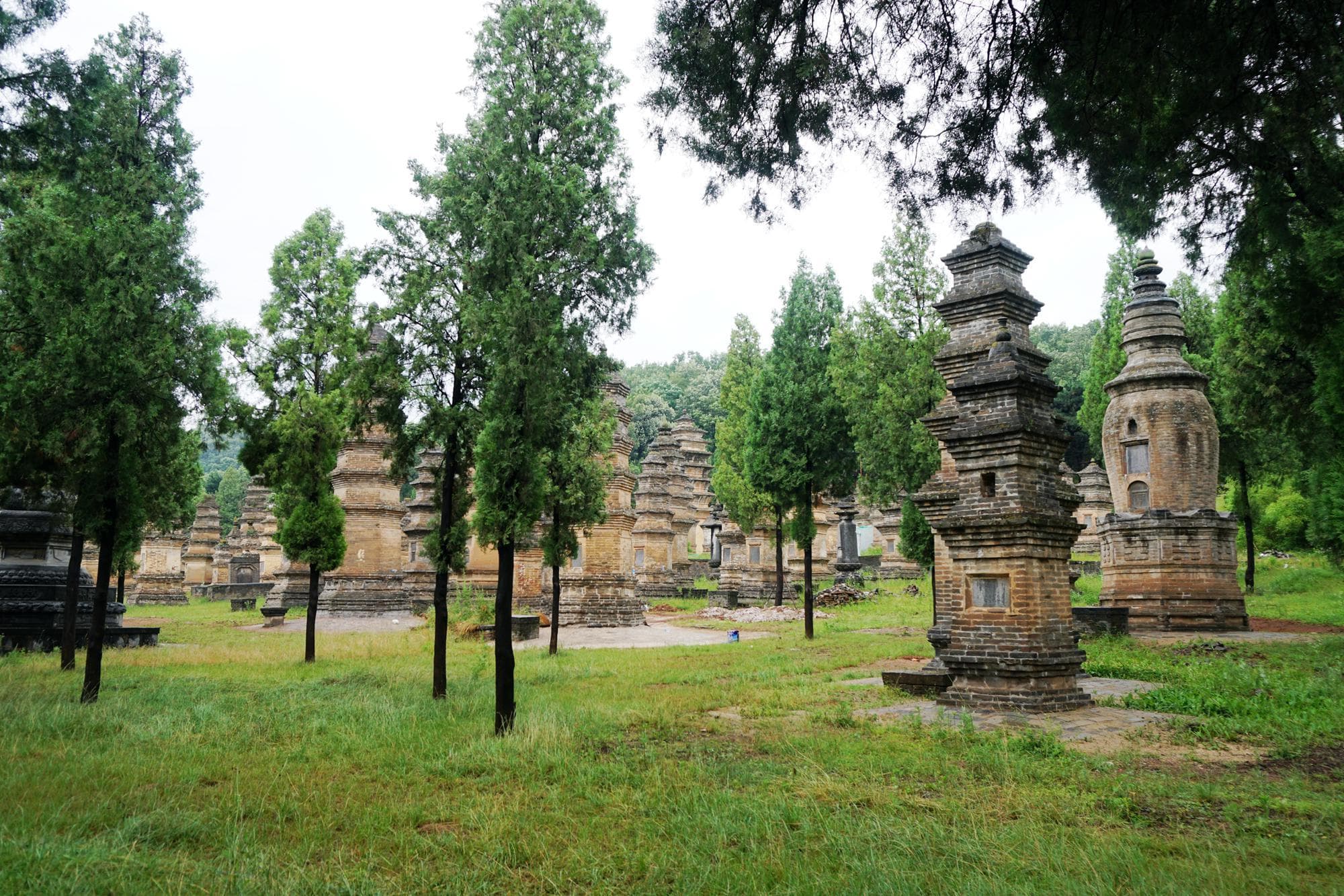 “古塔艺术博物馆”少林寺塔林：248座塔见证佛教文化