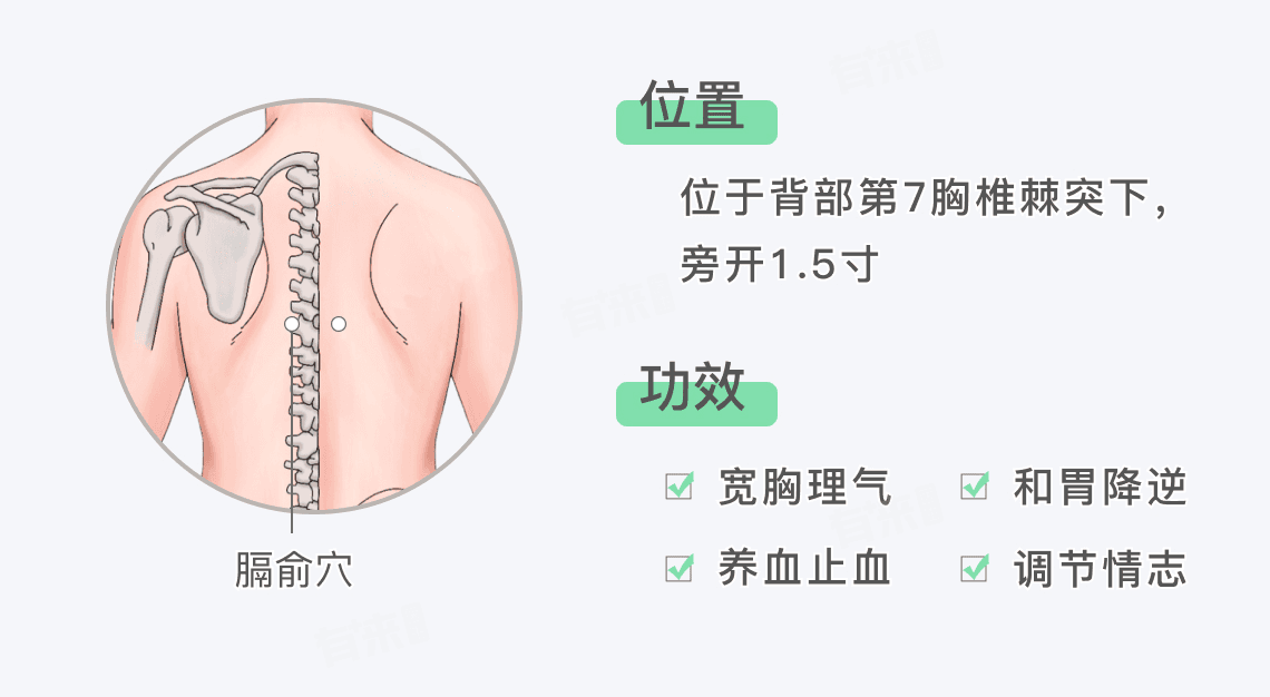 膈俞穴的位置和功效