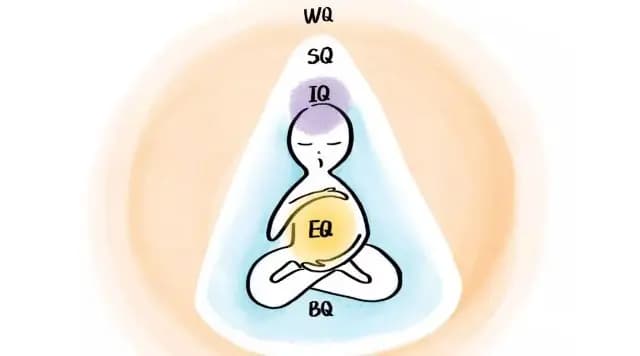 颠覆认知：人类拥有三个大脑