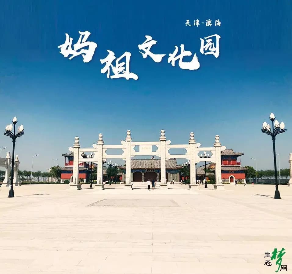 终于开放啦！天津滨海新区 生态城妈祖文化园、东堤公园游玩详尽攻略