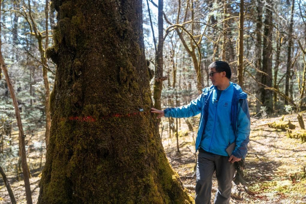 从雪山到森林，中国科学家保护生物多样性“天堂”