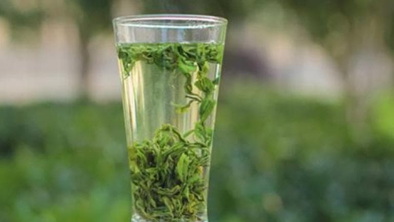 绿茶可以减肥吗