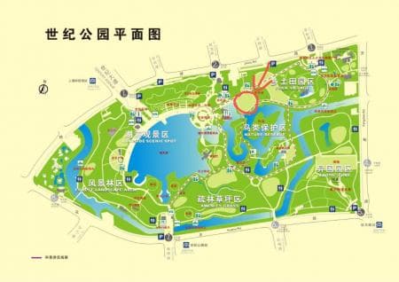 上海世纪公园游玩攻略：免费开放的AAAA级生态公园，内含详细游玩路线和交通指南