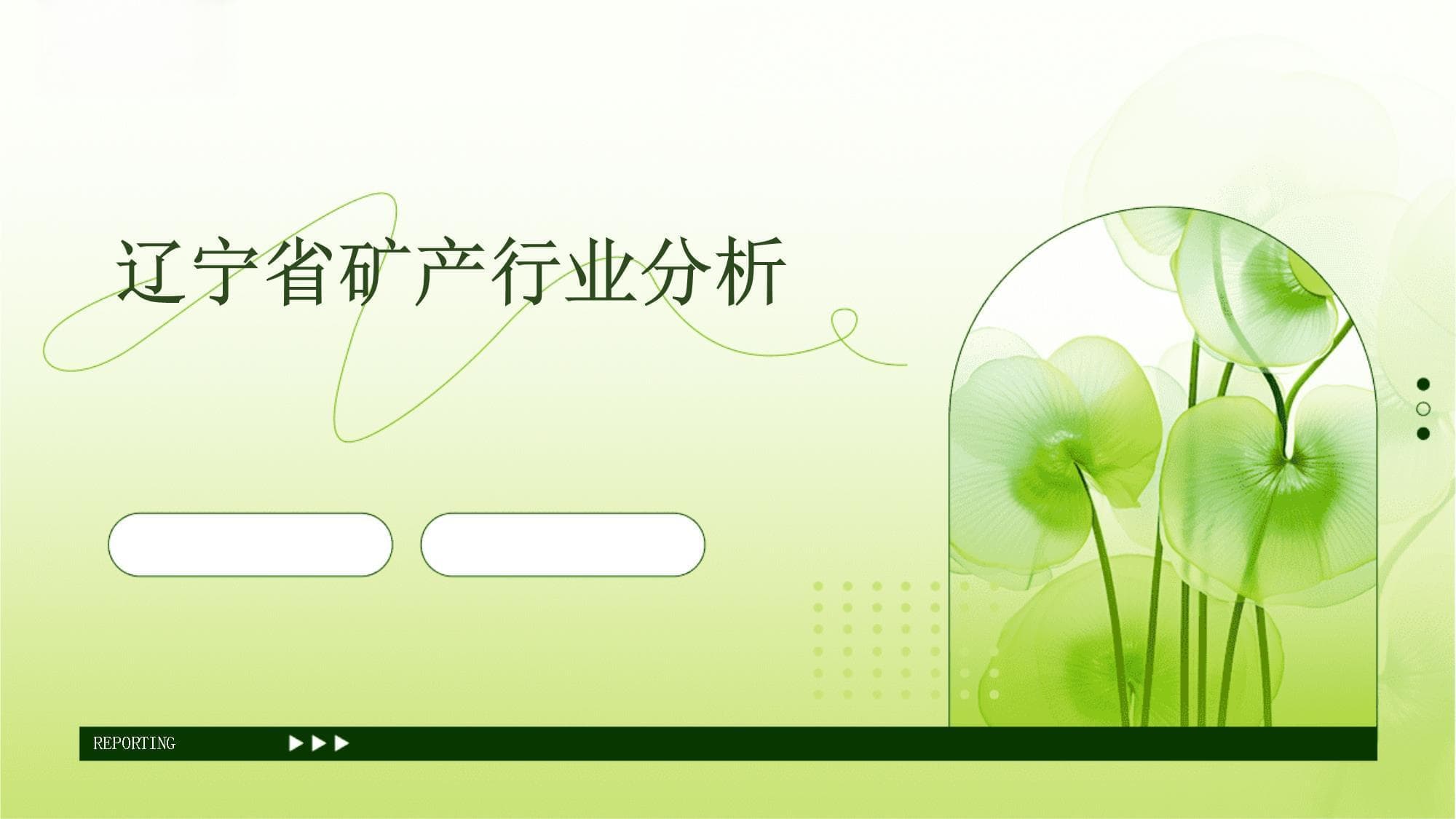 辽宁省矿产行业分析报告