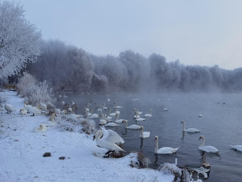 赏雪追光，新疆春节旅游新玩法等你来