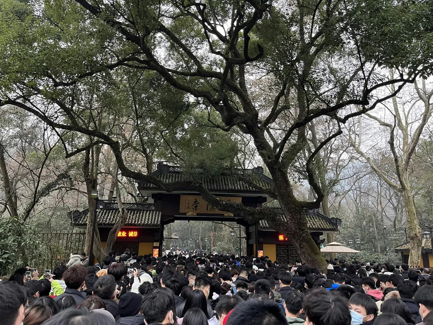 元旦去长沙，岳麓山和橘子洲头哪个更火？