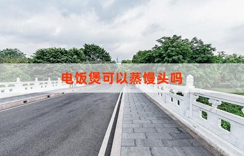 电饭煲可以蒸馒头吗？解读蒸制馒头的正确方式