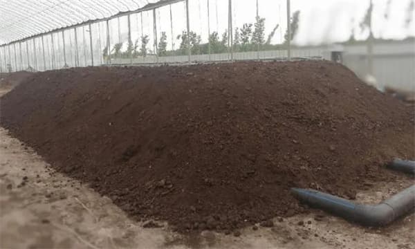 养鸡场废弃物处理指南：从鸡粪到疫苗包装物的科学解决方案
