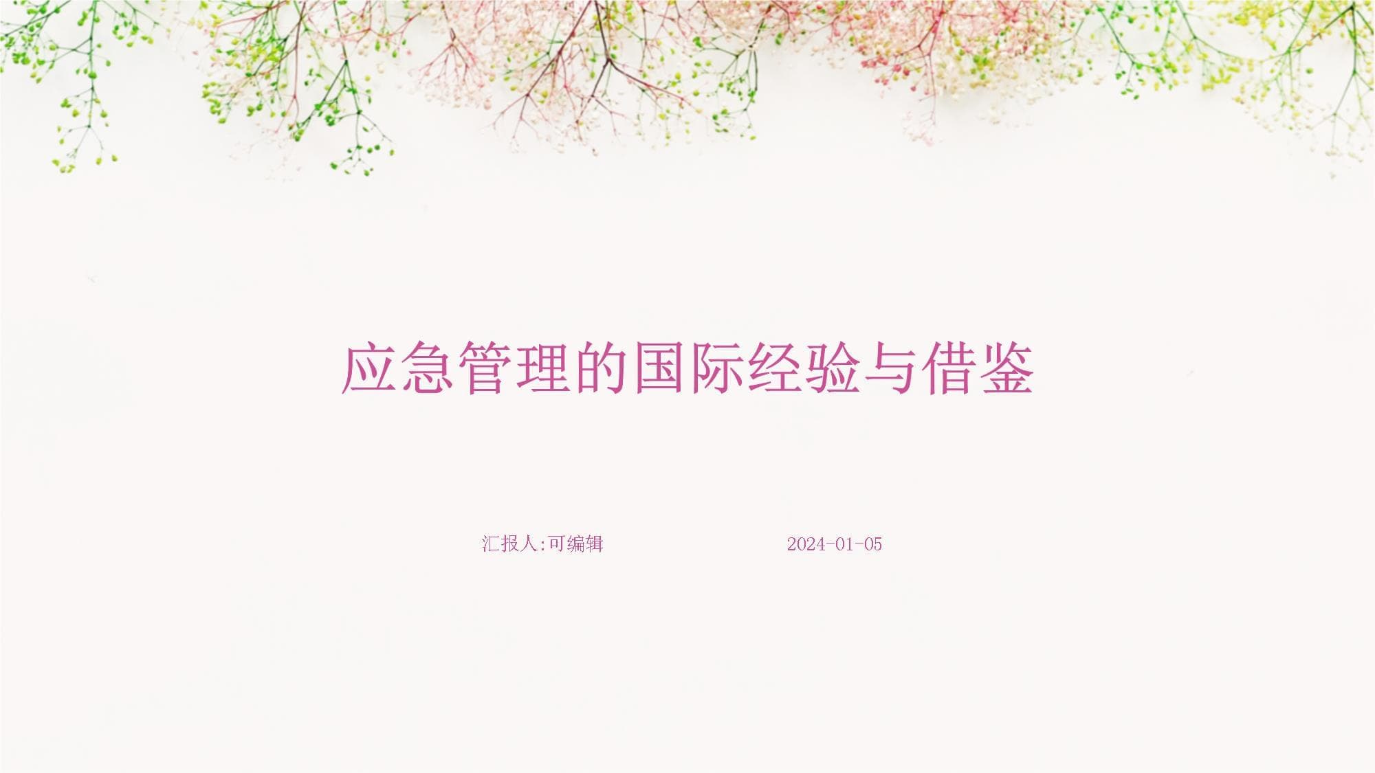 应急管理的国际经验与借鉴