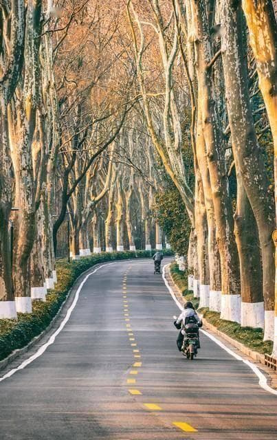 南京骑行路线推荐：12条特色路线尽显古都魅力