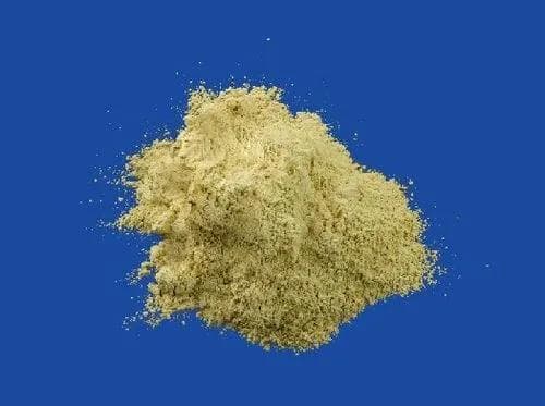 芦丁：一种重要的黄酮类化合物