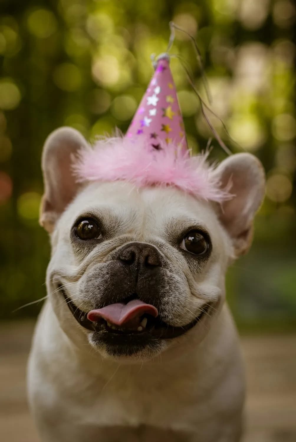 双十一搞笑生日祝福语，让你笑不停