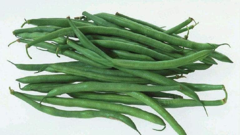 生豆角有毒吗？食用需谨慎