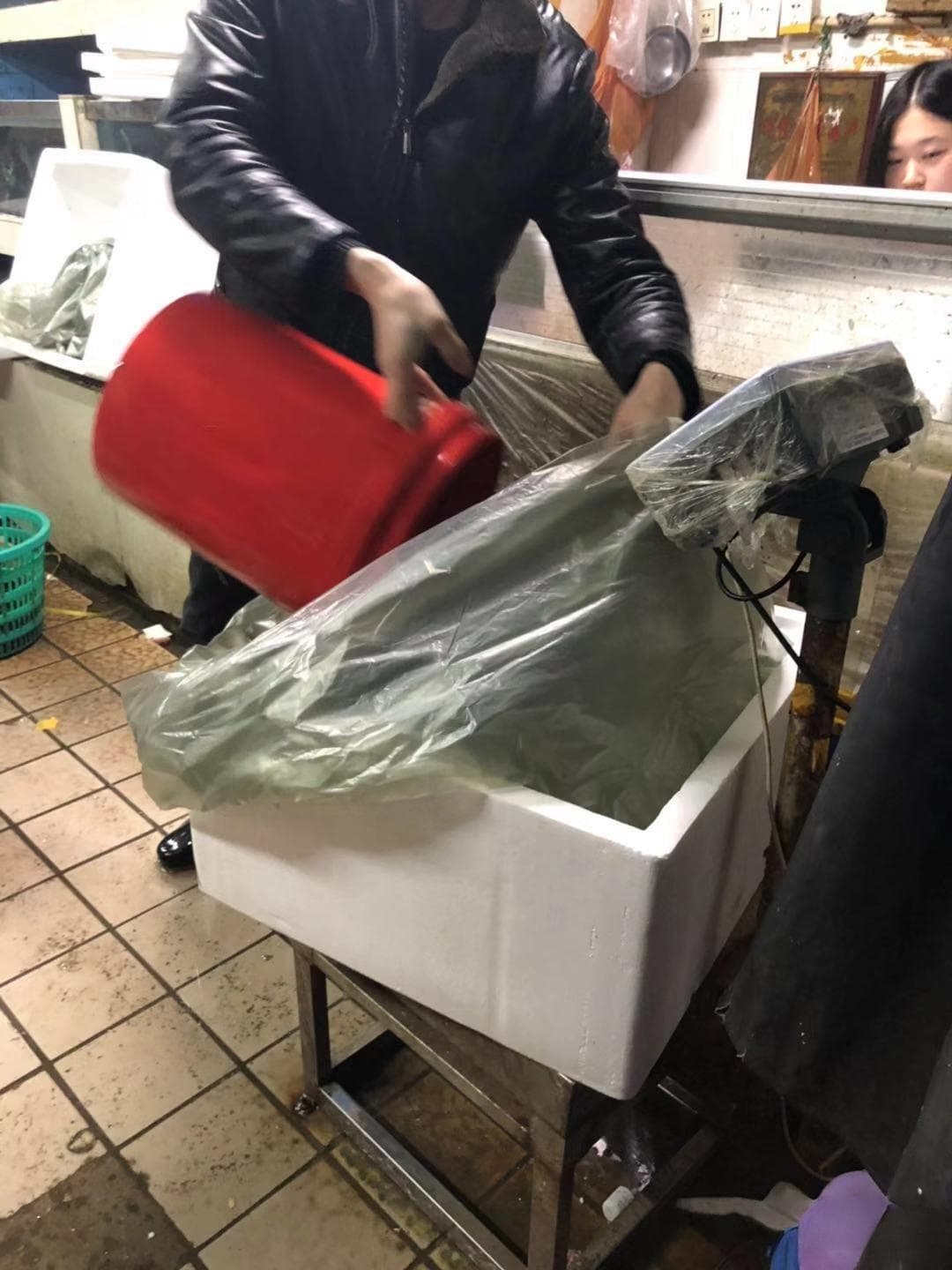 活鱼如何运输？告诉你4种方式