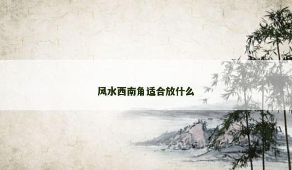 风水西南角适合放什么