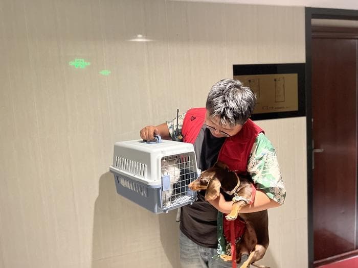 宠物经济升级：一条从生到死的新型产业链条
