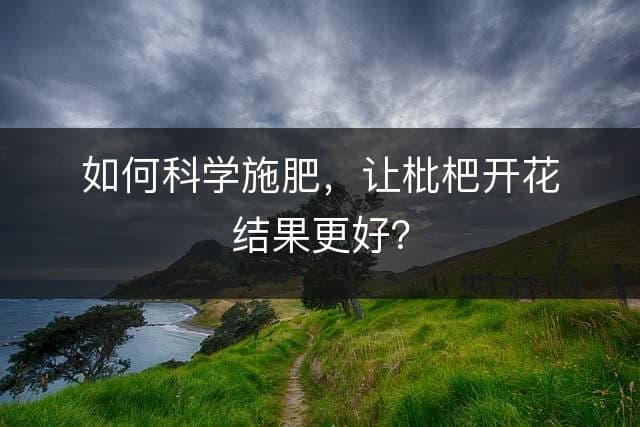 如何科学施肥，让枇杷开花结果更好？